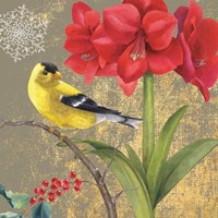 Framed 'Winter Birds Goldfinch Collage' border=