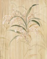 Framed Bamboo Blossoms