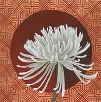 Framed Morning Chrysanthemum III