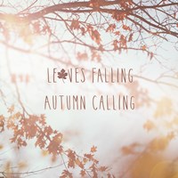 Framed Autumn Calling I