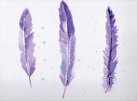 Framed Lavender Feathers