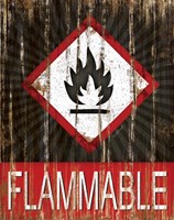Framed Flammable