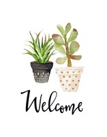 Framed Welcome Succulents