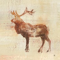 Framed Elk Study