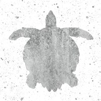 Framed Silver Sea Life Turtle