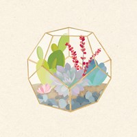 Framed 'Succulent Terrarium III' border=