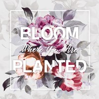 Framed 'Bloom Where You Are Planted' border=