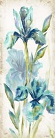 Framed Watercolor Iris Panel REV I