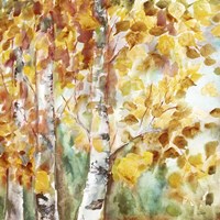 Framed Watercolor Fall Aspens Square