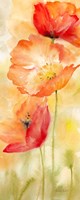 Framed Watercolor Poppy  Meadow Spice Panel II