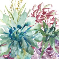 Framed Succulent Garden Watercolor II