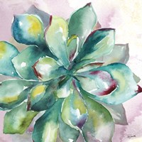 Framed Succulent Watercolor I