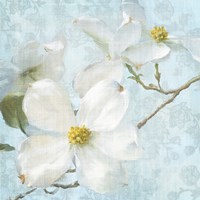 Framed Indiness Blossom Vintage I Pale