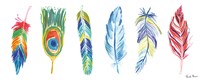 Framed Rainbow Feathers I