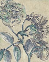 Framed Belle Fleur I Crop Linen