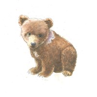 Framed Into the Woods Bear Cub