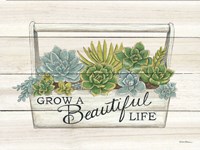 Framed Beautiful Life Succulents