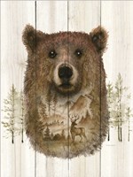 Framed Bear Wilderness Portrait