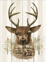 Framed Deer Wilderness Portrait