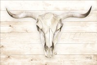 Framed Cow Skull