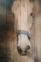 Framed Old Gray Mare