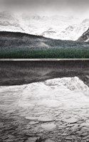 Framed Waterfowl Lake Panel I BW with Color