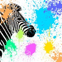 Framed 'Safari Colors Pop Collection - Zebra' border=