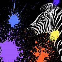 Framed 'Safari Colors Pop Collection - Zebra II' border=