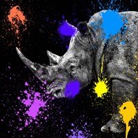 Framed 'Safari Colors Pop Collection - Rhino Portrait' border=