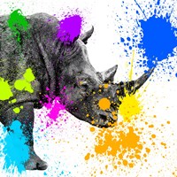 Framed 'Safari Colors Pop Collection - Rhino Portrait II' border=