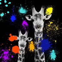 Framed 'Safari Colors Pop Collection - Giraffes Portrait VI' border=
