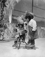 Framed 1930s Two Chimpanzees Monkeys