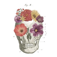 Framed Floral Skull II