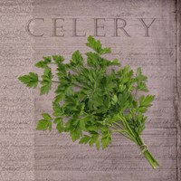 Framed 'Classic Herbs Celery' border=