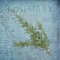 Framed 'Classic Herbs Rosemary' border=