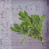 Framed 'Classic Herbs Sage' border=