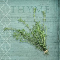 Framed 'Classic Herbs Thyme' border=