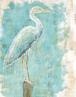 Framed Coastal Egret I