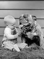 Framed 1950s 1960s Baby Sitting Playing With Bulldog