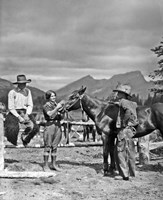 Framed 1930s Cowboys & A Woman Grooming A Horse
