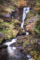 Framed Black Forest Upper Falls