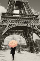 Framed Paris in the Rain II