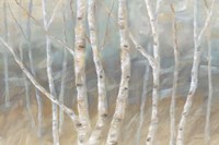 Framed Silver Birch Landscape