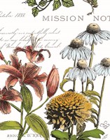 Framed Botanical Postcard Color II