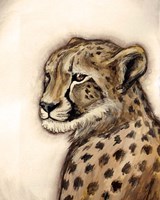 Framed Cheetah Portrait