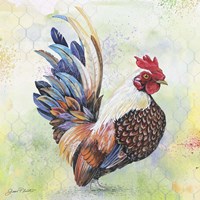 Framed 'Watercolor Rooster - A' border=
