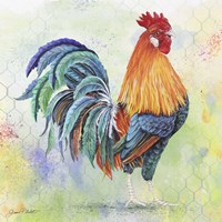 Framed 'Watercolor Rooster - B' border=