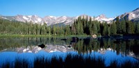 Framed Indian Peaks reflected in Red Rock Lake Boulder Colorado