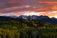 Framed Trees with Mountain Range at dusk, Aspen, Colorado