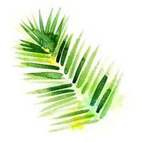 Framed Tropical Icons Palm Frond